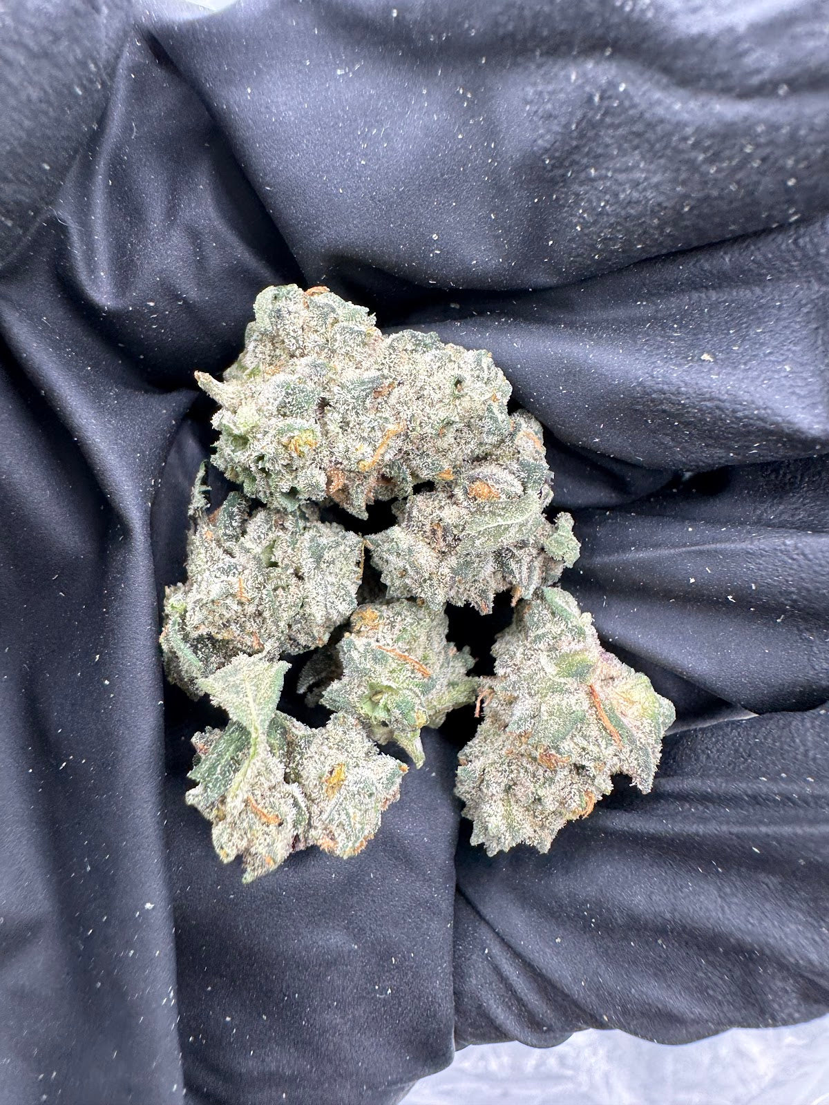 Street Tartz (Smalls) flower