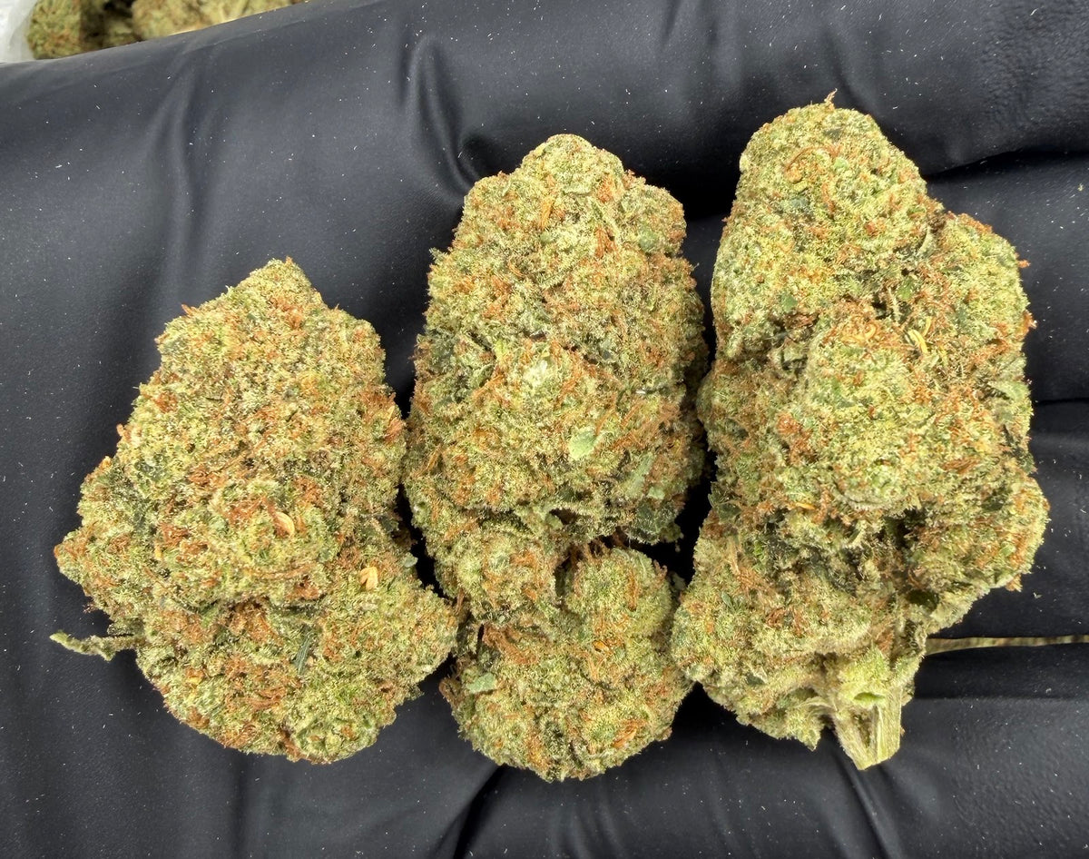 Gorilla Glue (Indoor) flower