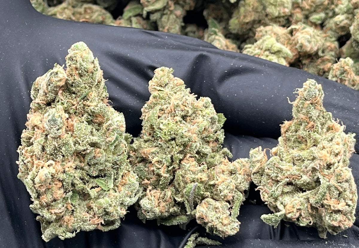 Blue Dream (Indoor Plus) flower
