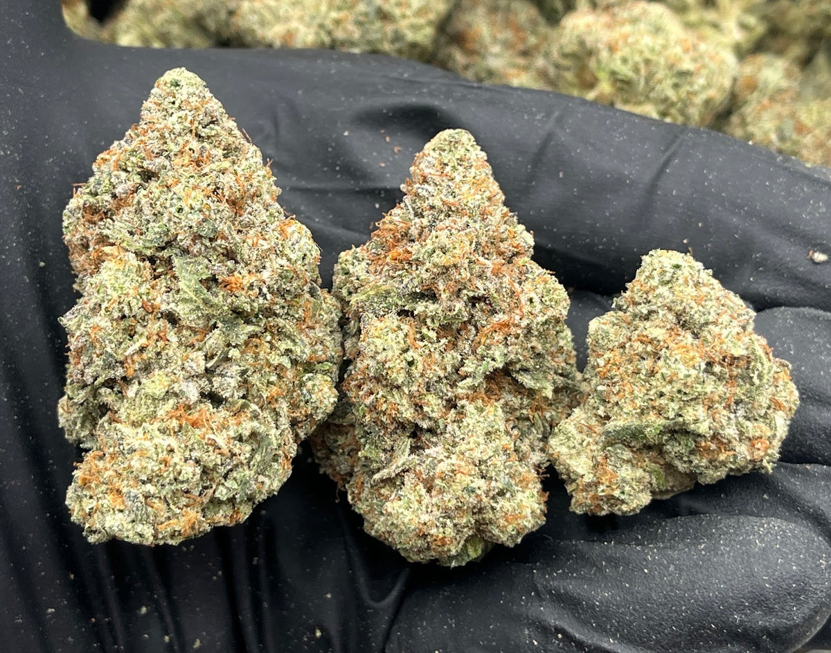Zookies (Indoor Plus) flower