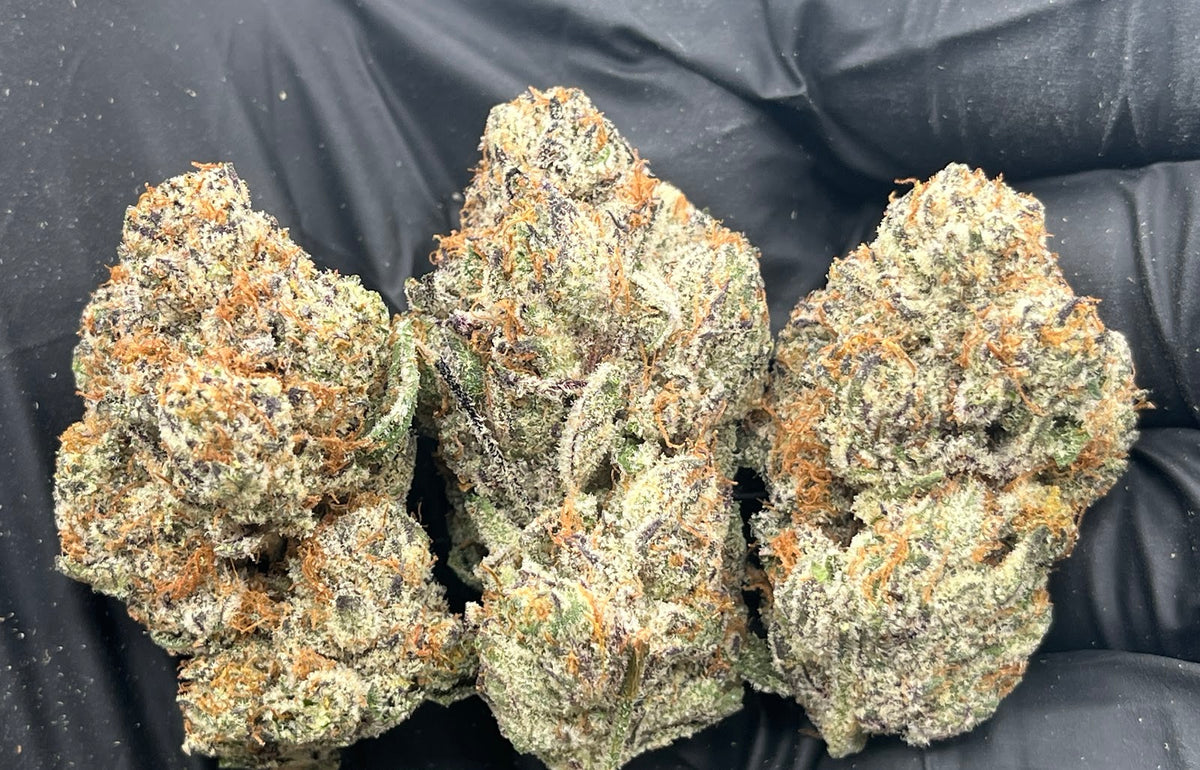 Parisian Kush (Exotic Bigs) flower