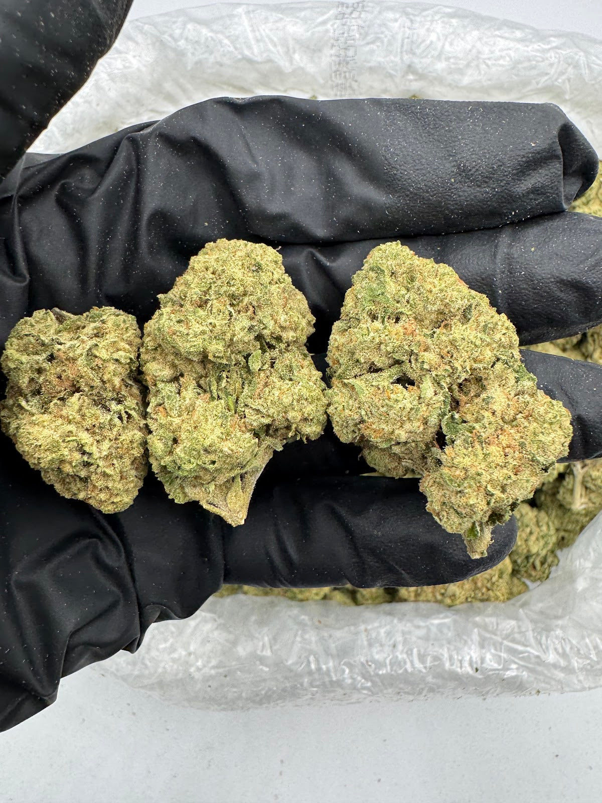 Sour Pez (Indoor) flower