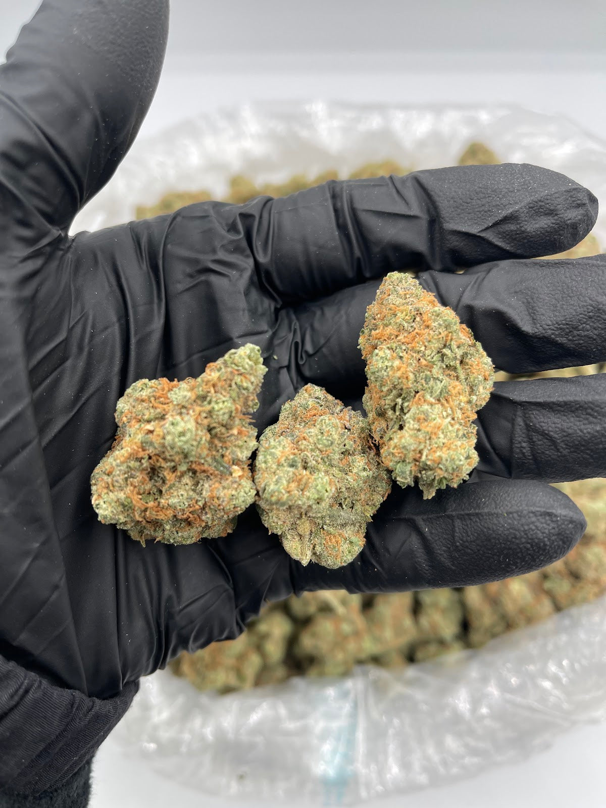 Papaya Runtz (Indoor) flower