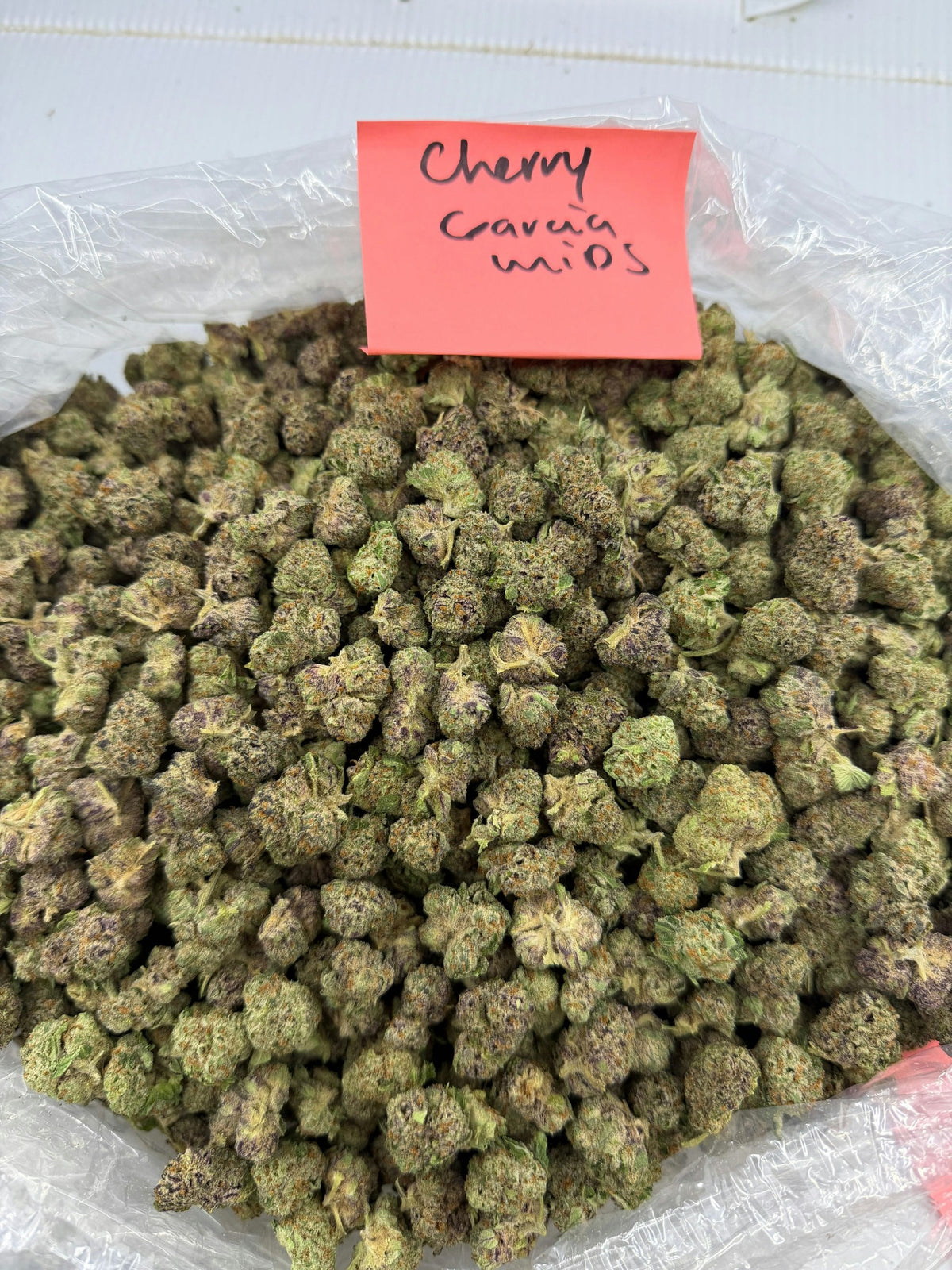 CHERRY GARCIA (Mids) flower photo