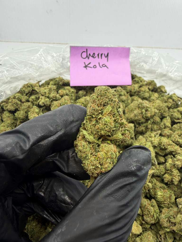 CHERRY KOLA flower photo 2