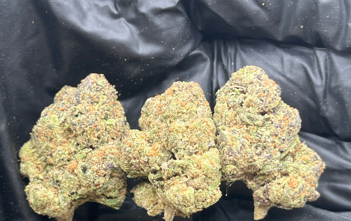 Cherry Zoap (Indoor) flower photo