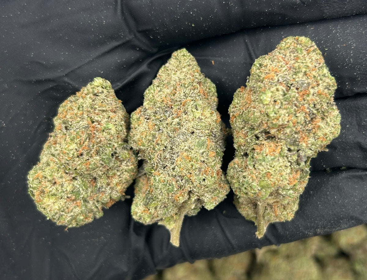 24 Karat (Indoor) flower photo