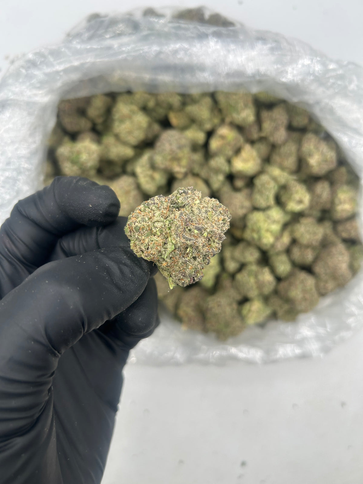 It’s a Secret (Indoor Plus) supplier nug photo