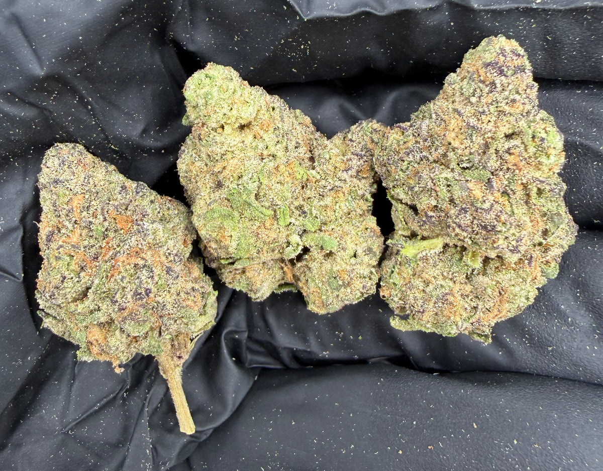 Grape Bubblegum (Indoor) flower photo
