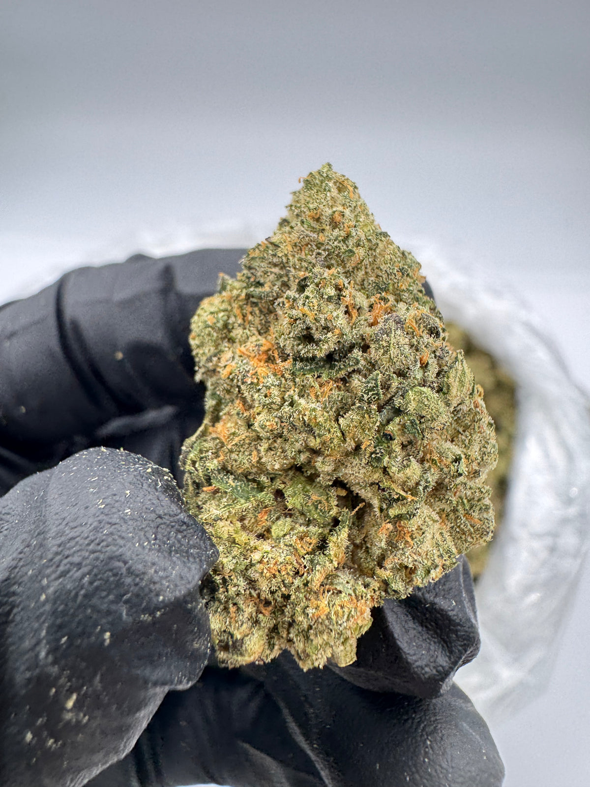 Jet Fuel Gelato (High End) supplier nug photo