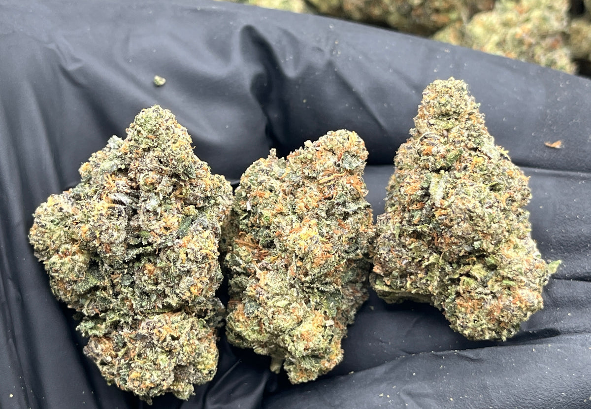 Crunch Berries (Indoor Plus) flower photo