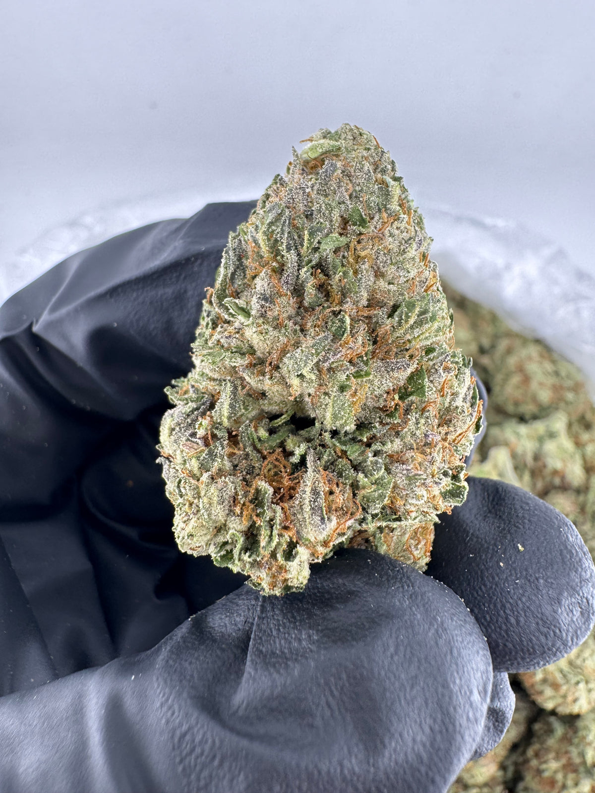 Guava (Deps) supplier nug photo