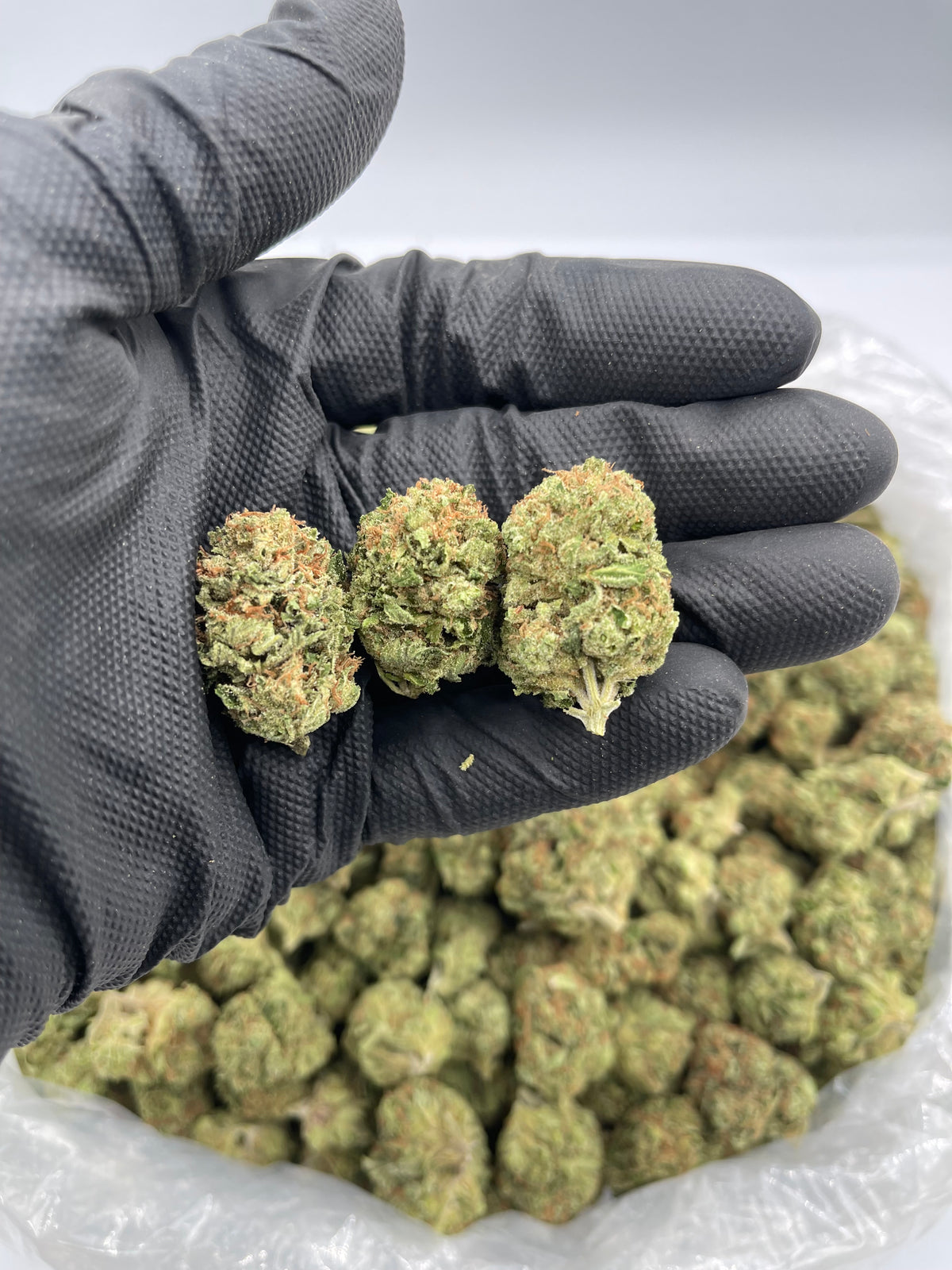 Sour Diesel (Indoor) flower photo
