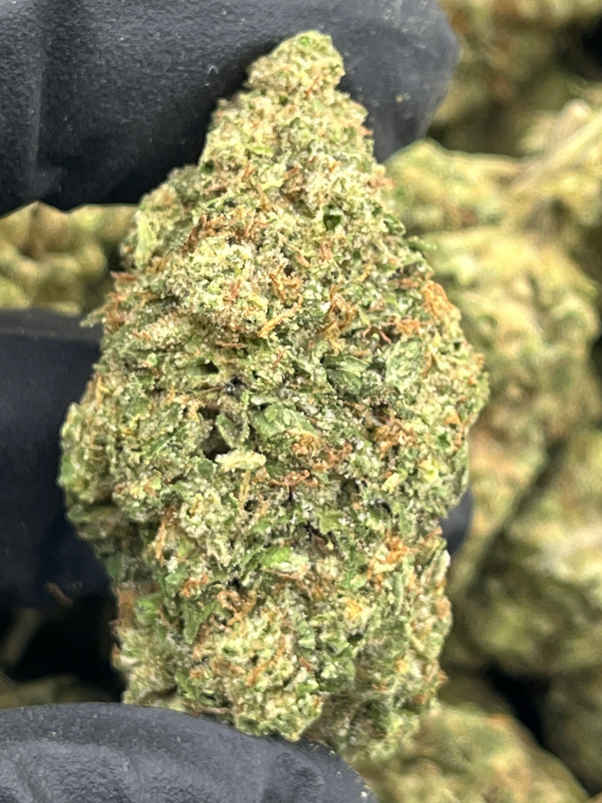 Ghost Train Haze (Deps) supplier nug photo
