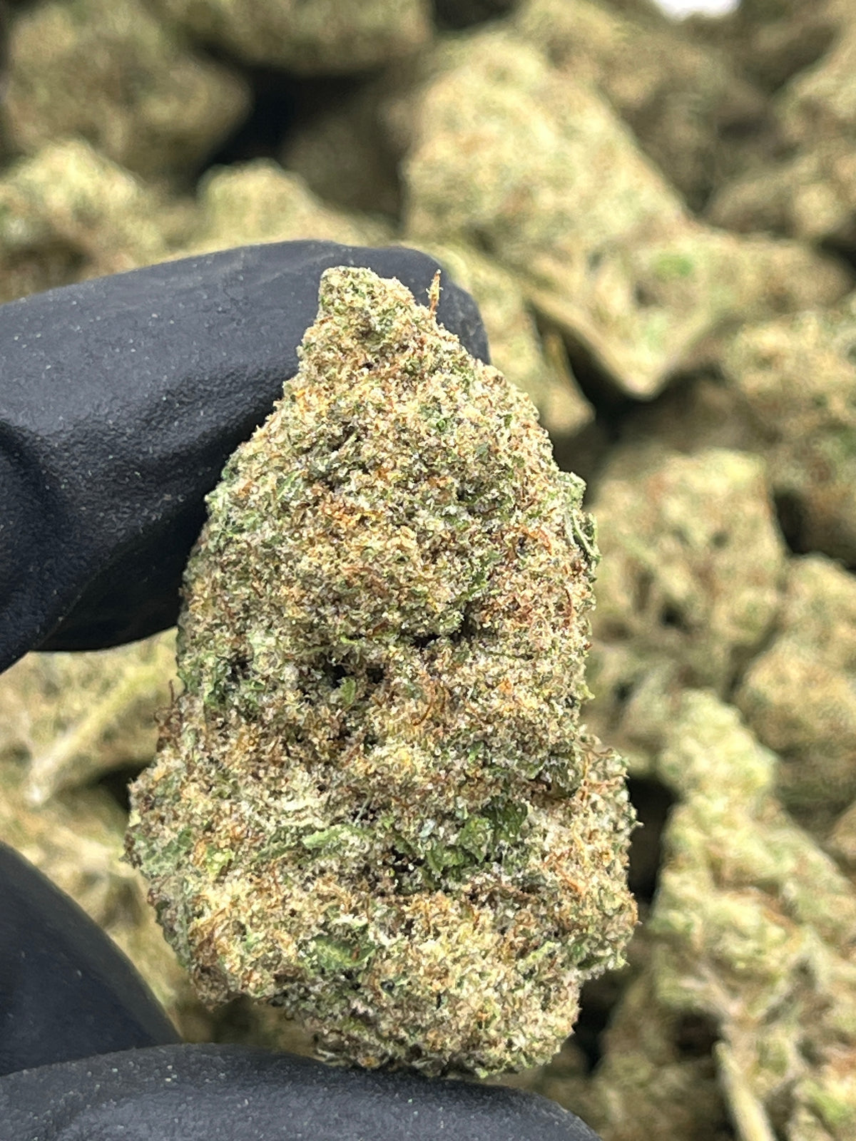 Cherry Cheesecake (Deps) supplier nug photo