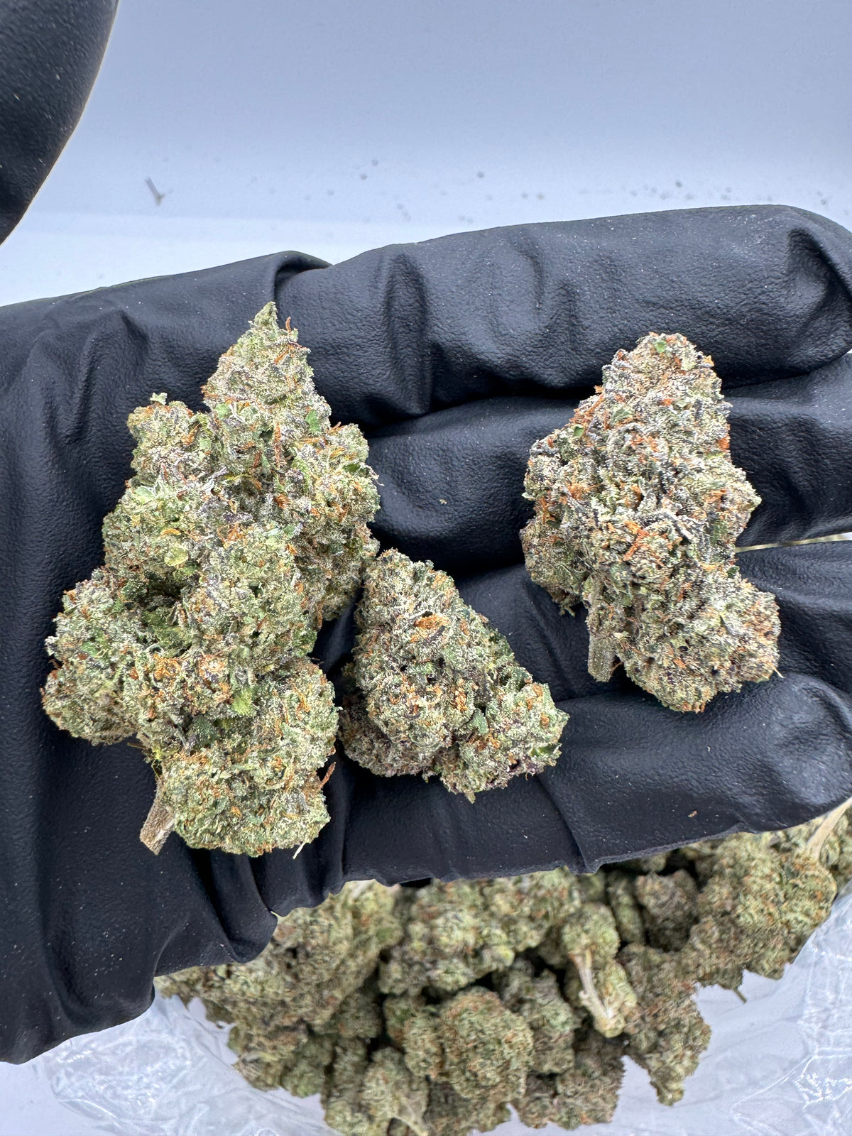 White Runtz (High End Bigs) flower photo