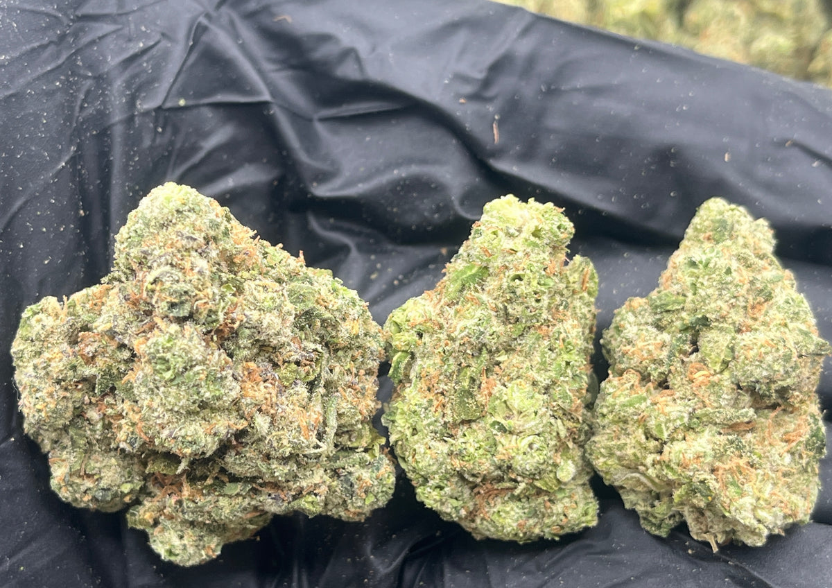 Alaskan Thunderfuck (Indoor 7) flower photo