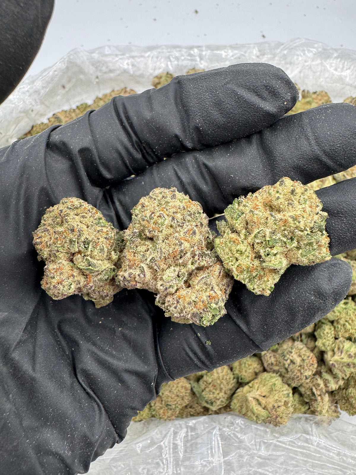 Lemon Haze (Indoor) flower photo