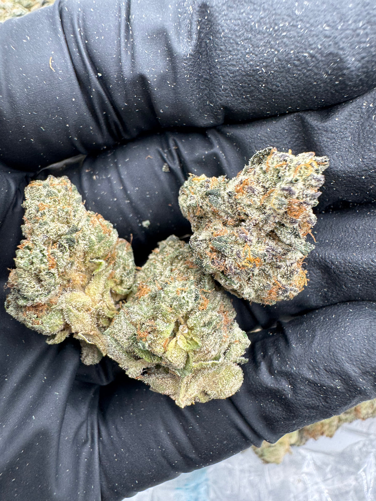 Blue Zerds nugs photo
