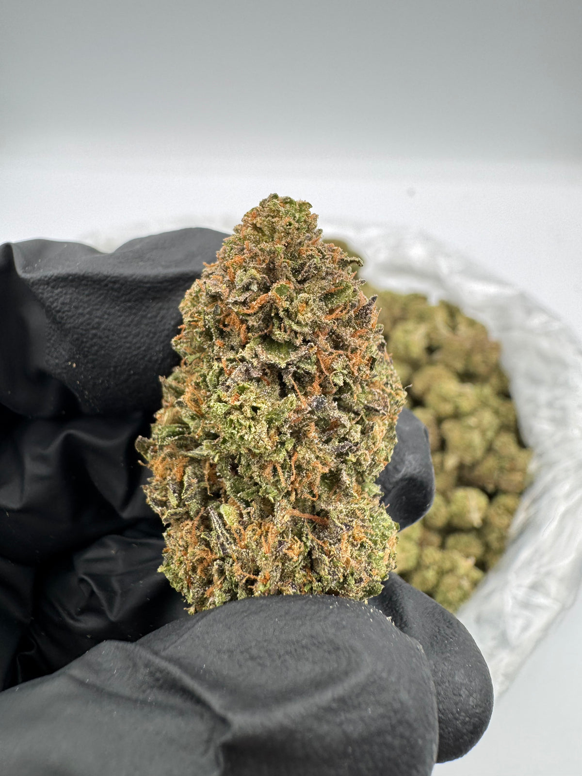 Candy Runtz (Deps Plus) supplier nug photo