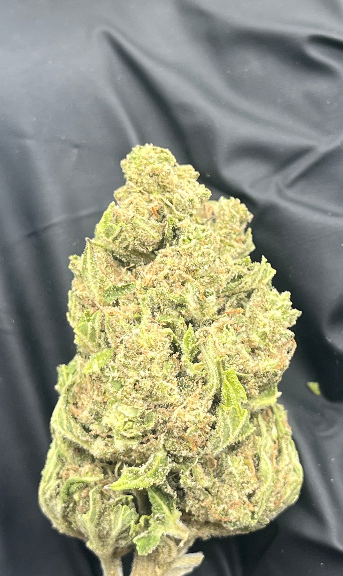 Green Lantern (Deps) supplier nug photo