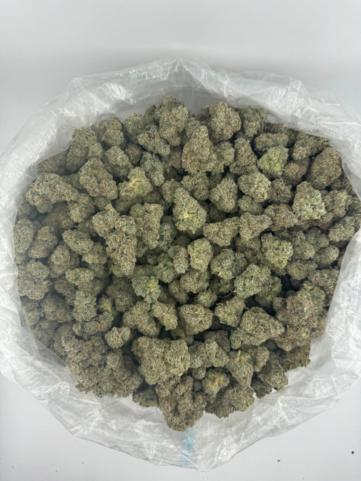 Street Tartz (Indoor Plus) bag