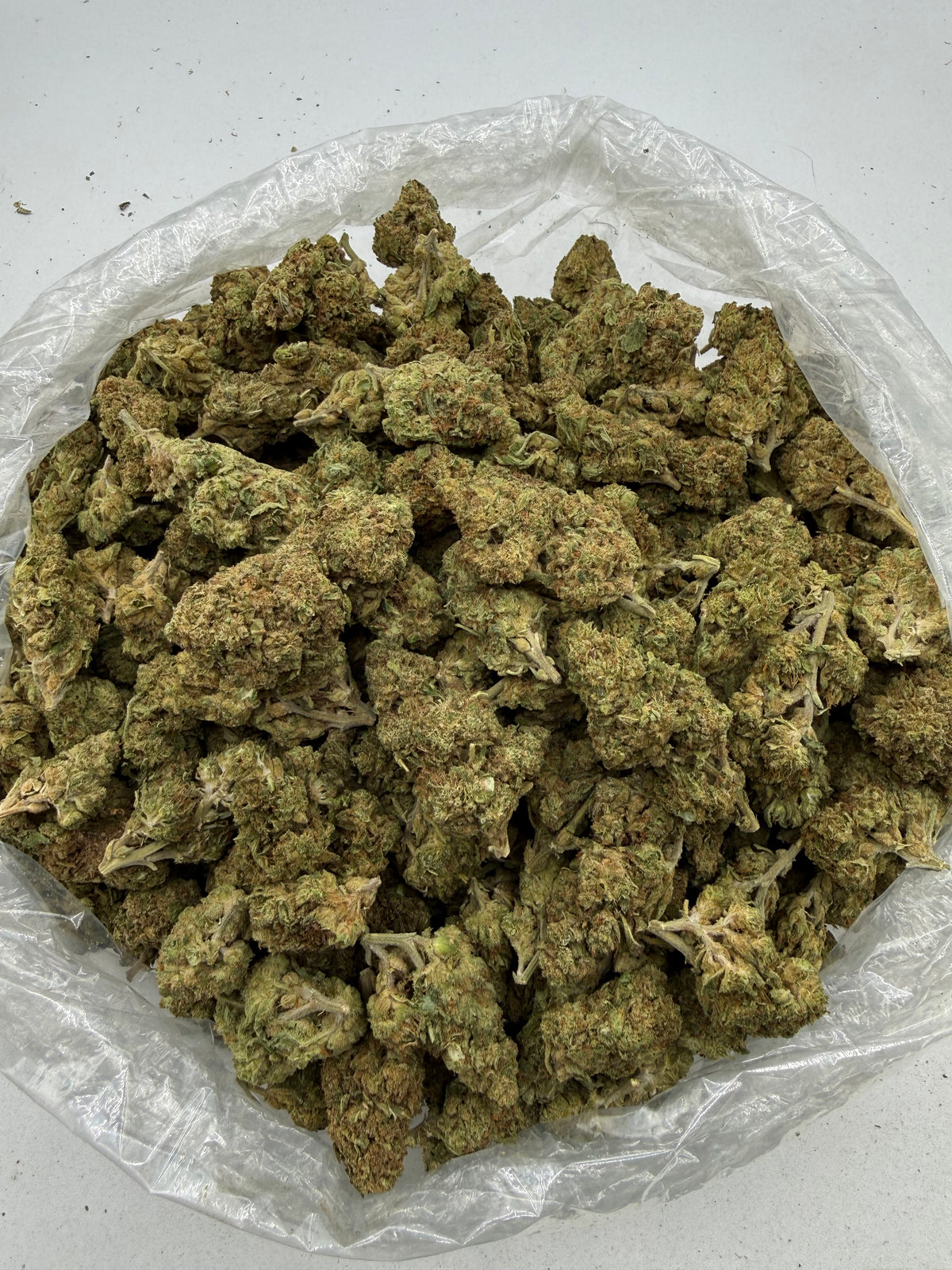 Jungle Gelato (Lows) bag