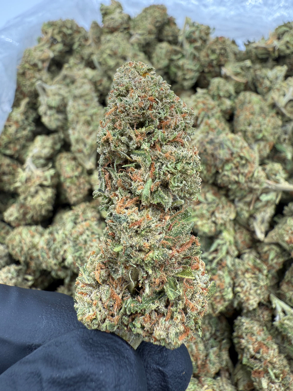 Ghost Vapor OG (Deps) supplier nug photo