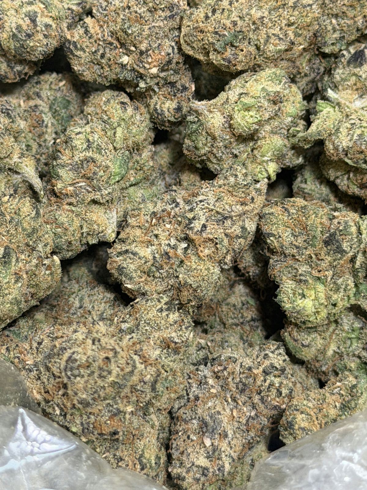 Lemon Cherry Gelato flower photo 2
