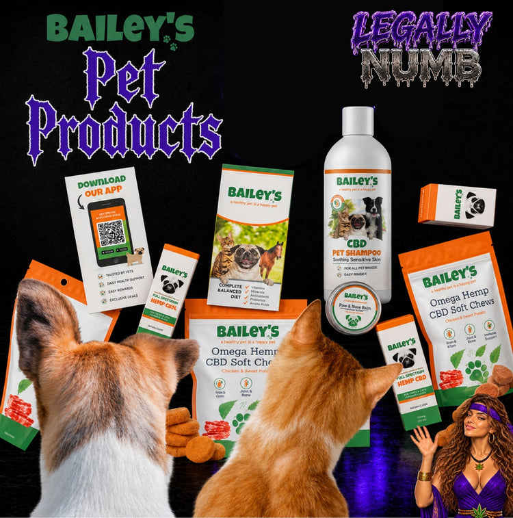 Pet Products