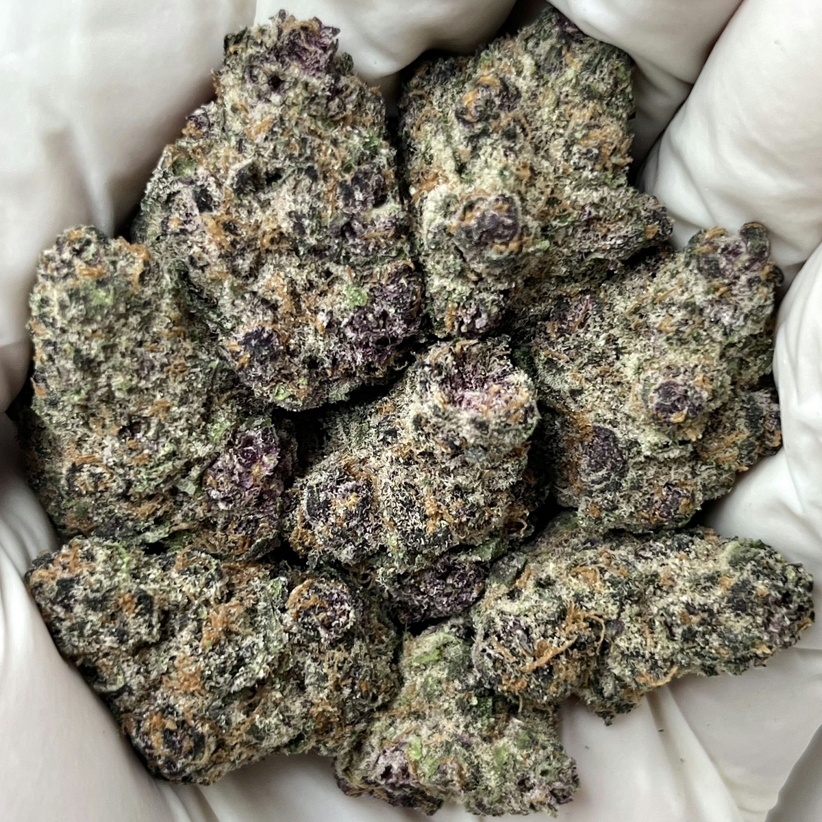 Oregon Flower Collection