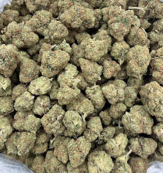 Gorilla Glue (Indoor) bag