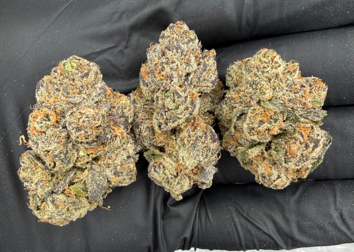 Blue Nerdz (Indoor Plus) flower