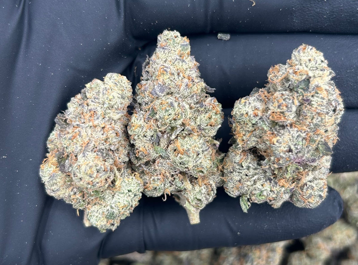 Mule Fuel OG (Indoor Plus) flower