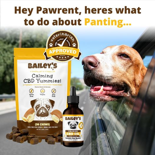 BAILEY'S CBD DOG TREATS