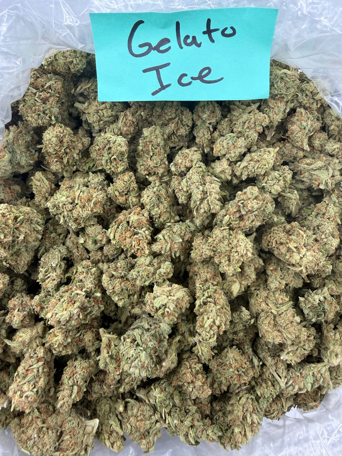 GELATO ICE
