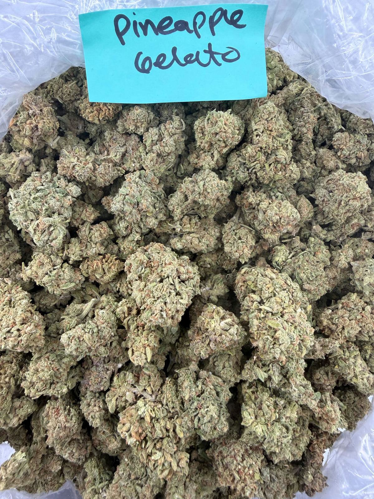 PINEAPPLE GELATO