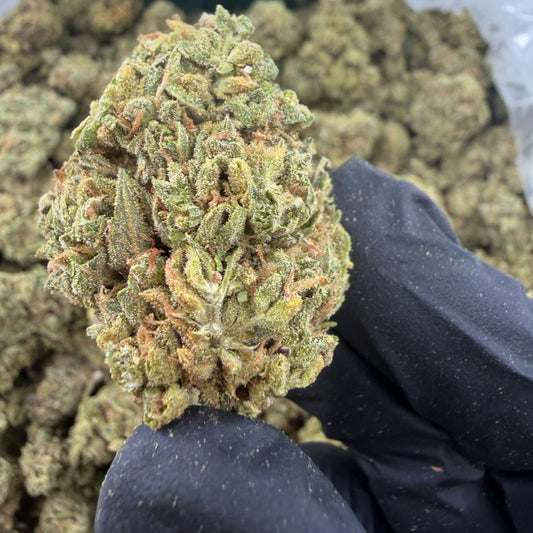 PINEAPPLE GELATO