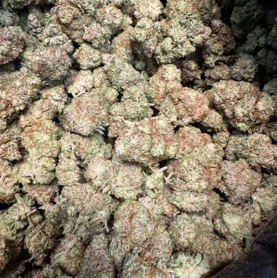 The White (Indoor CBG Flower)