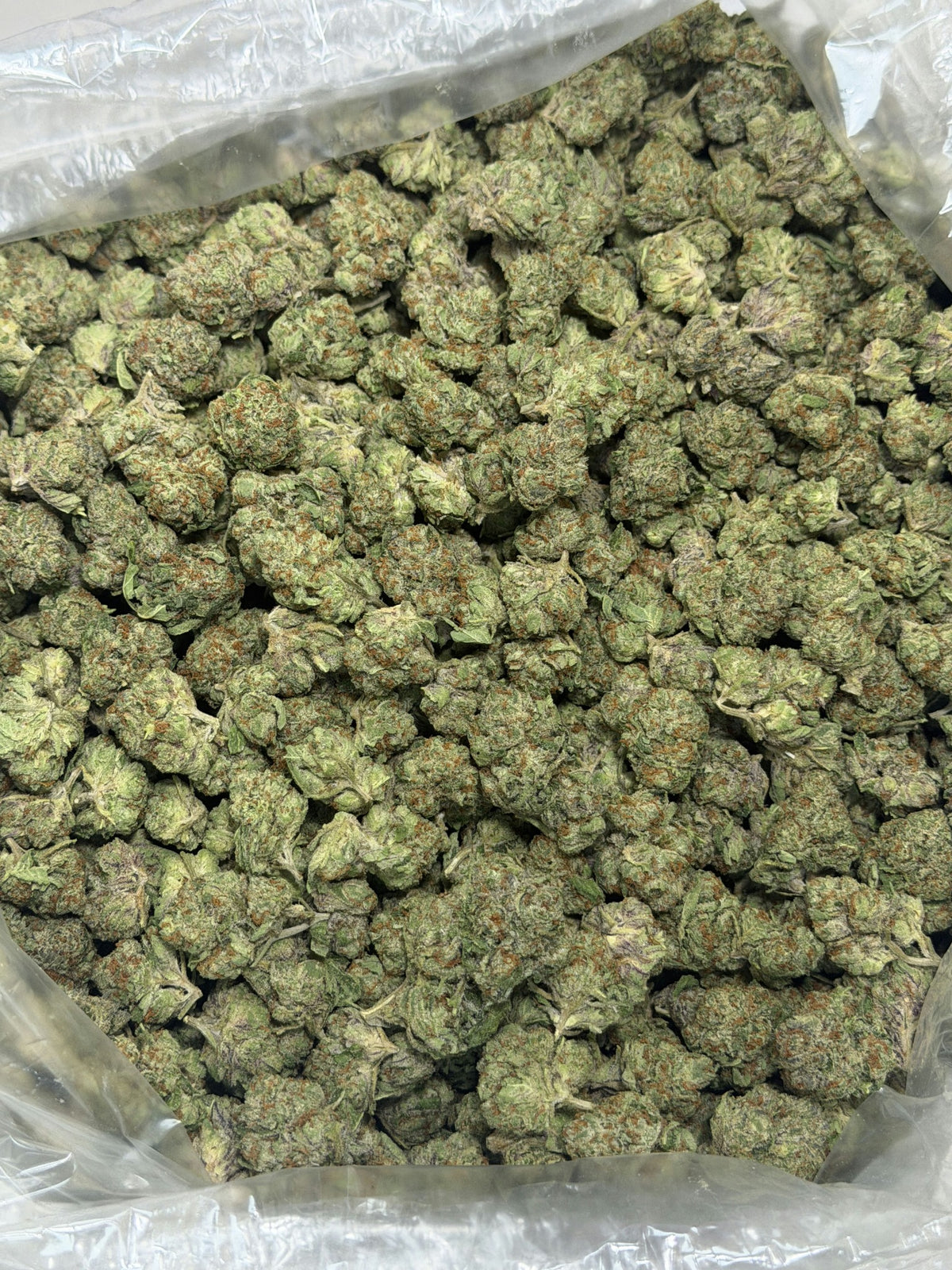 Acai Gelato Oregon flower