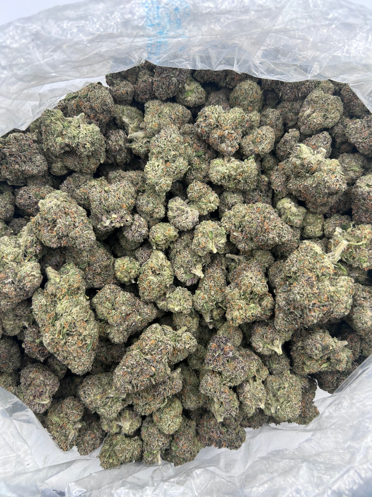 ADL (Indoor Plus) bag photo