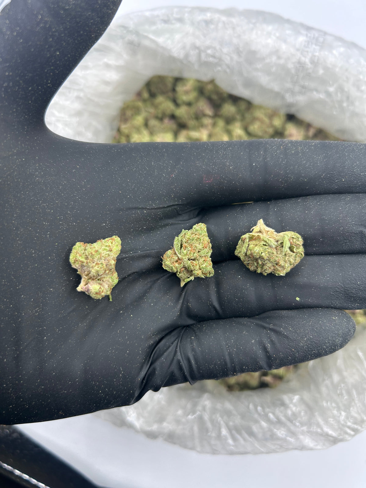 Apple Fritter (Smalls) flower photo