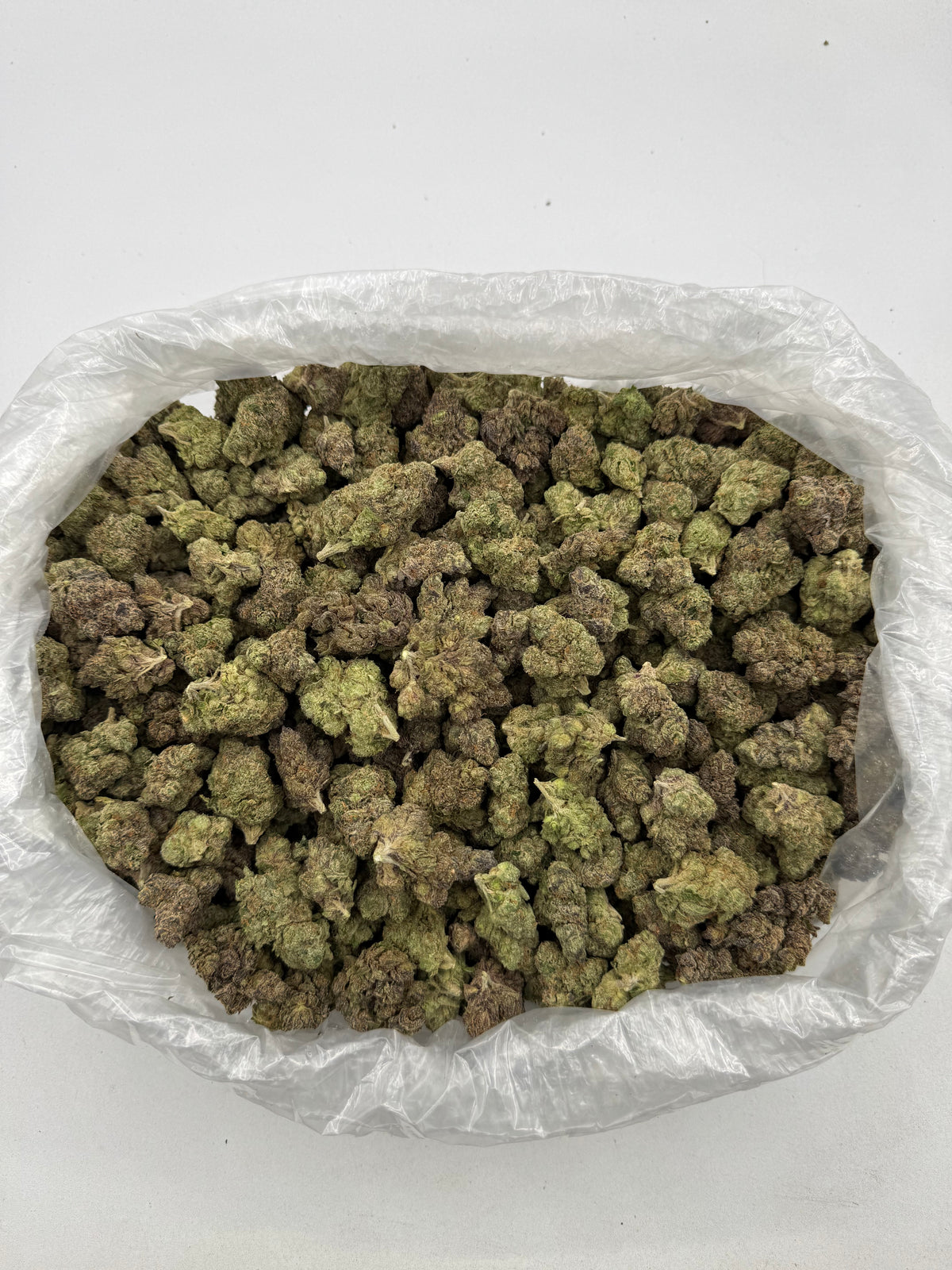 Astro Candy (Indoor Plus)