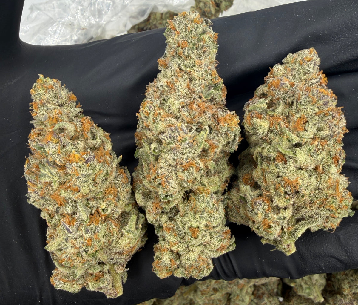 Blue Zangria nugs photo