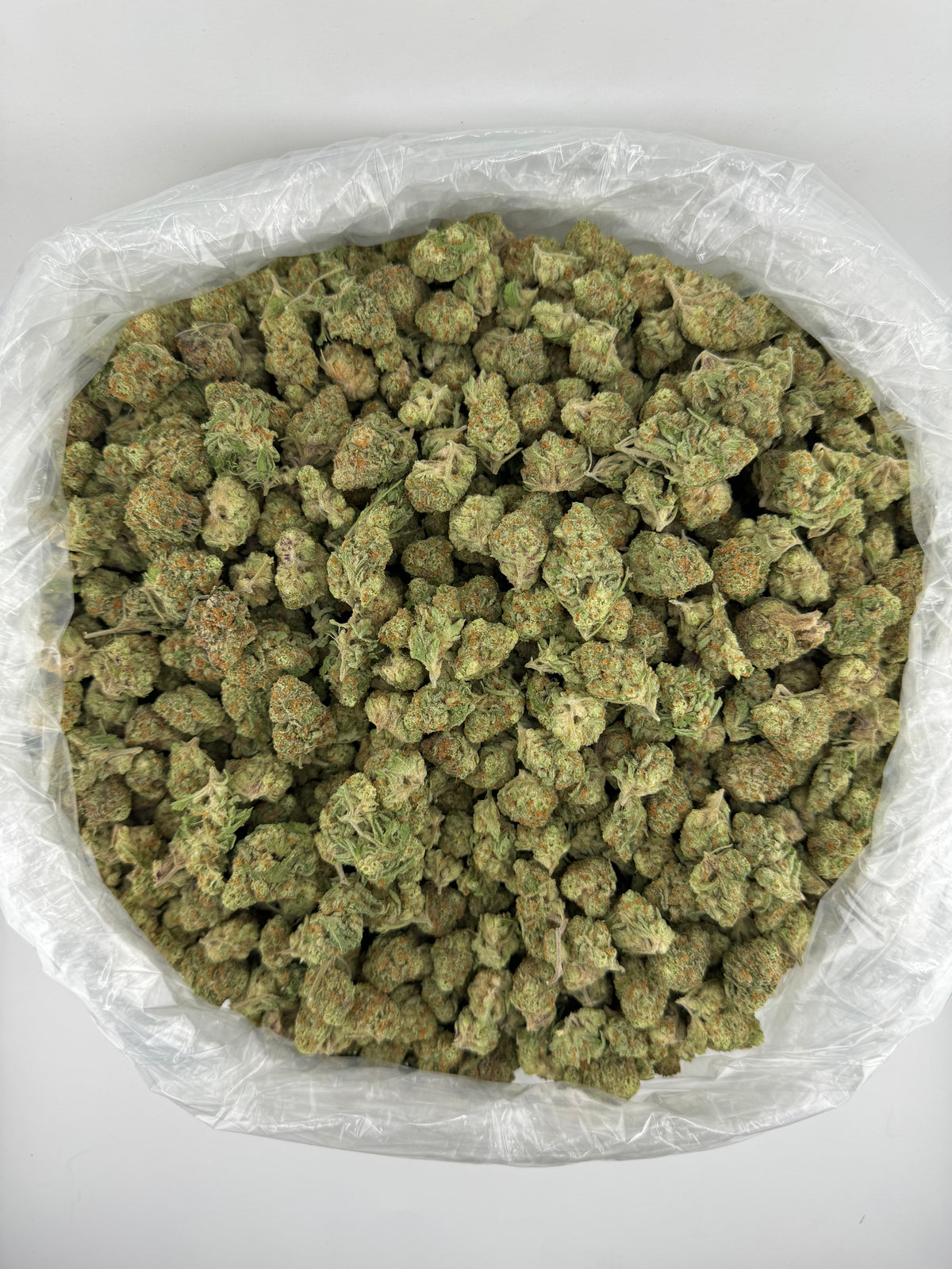 Blueberry Pancake (Smalls)