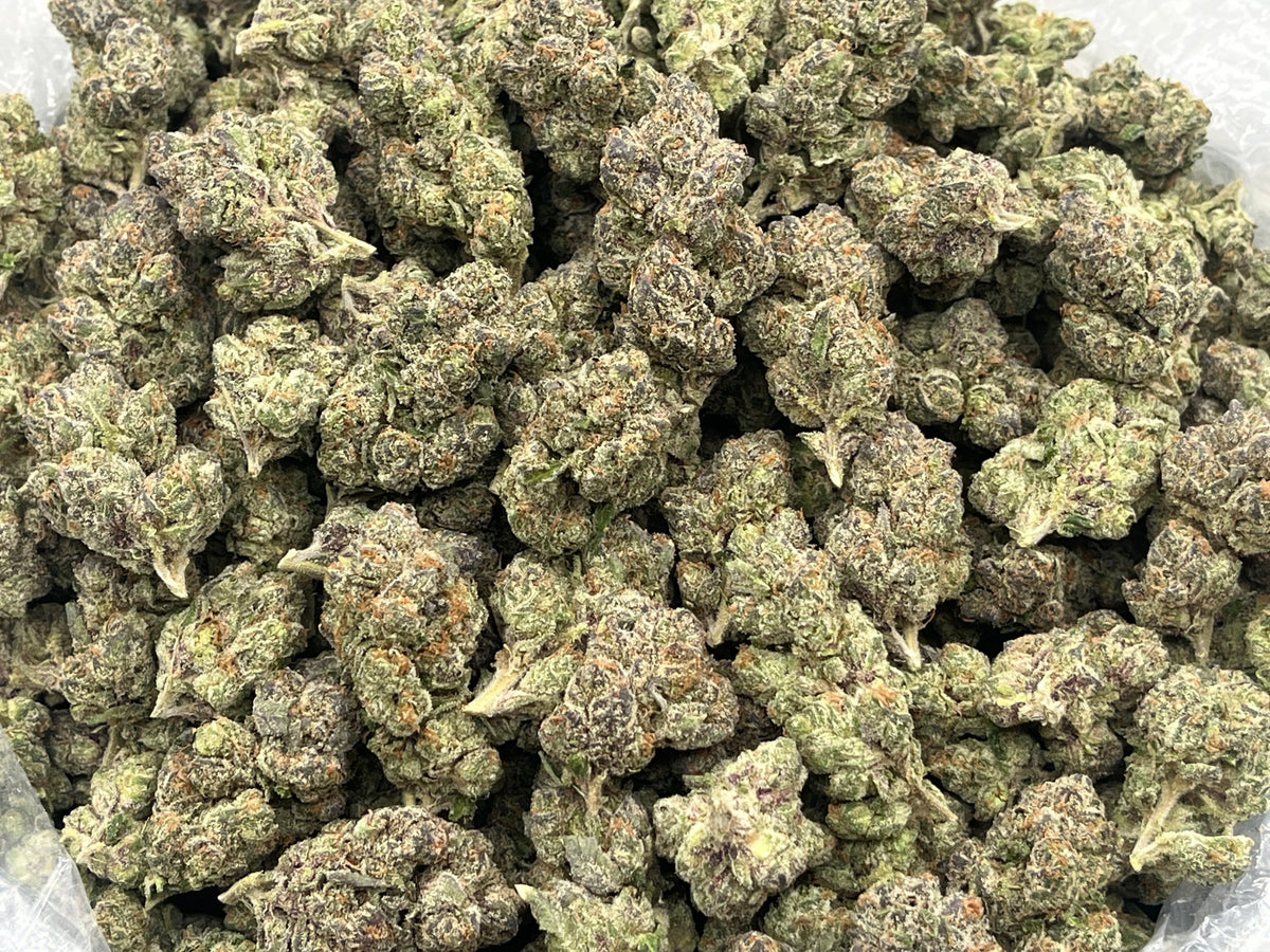 Bubblegum Gelato (Indoor Plus) bag photo