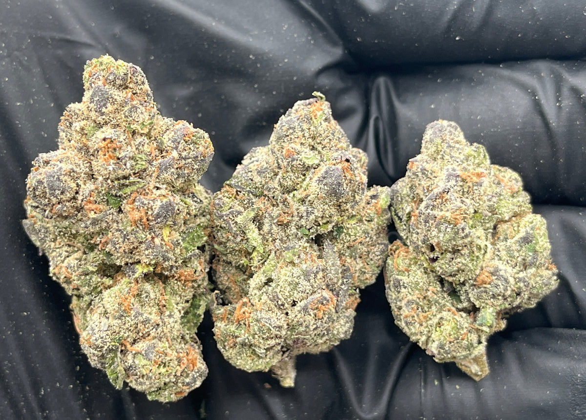 Bubblegum Gelato (Indoor Plus) flower photo
