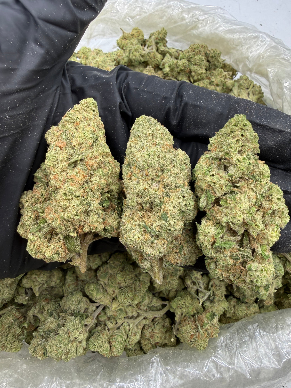 Cherry Cookie Dough (Deps)