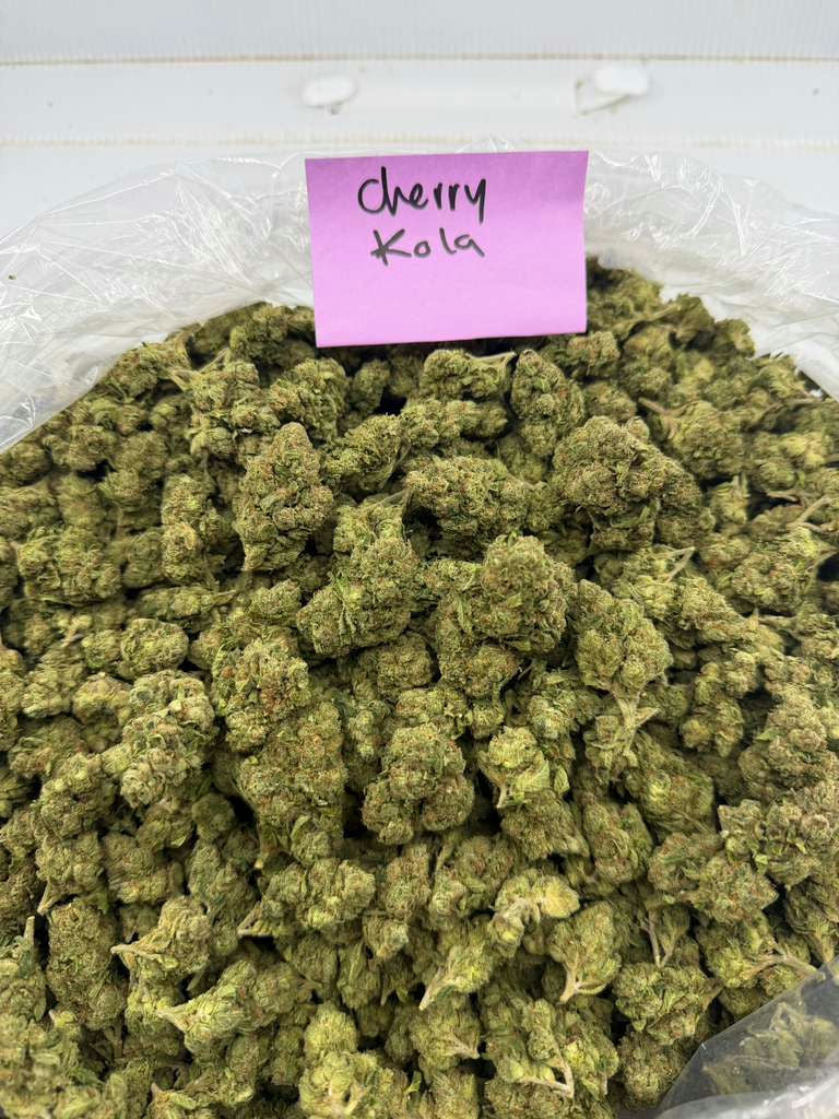 CHERRY KOLA flower photo 1
