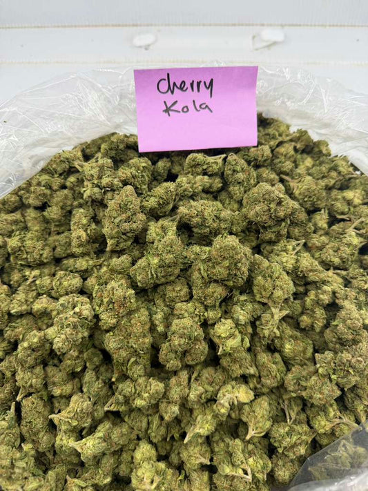 CHERRY KOLA flower photo 1